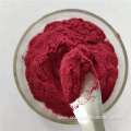 Hight Quality Elderberry Fruit Powder